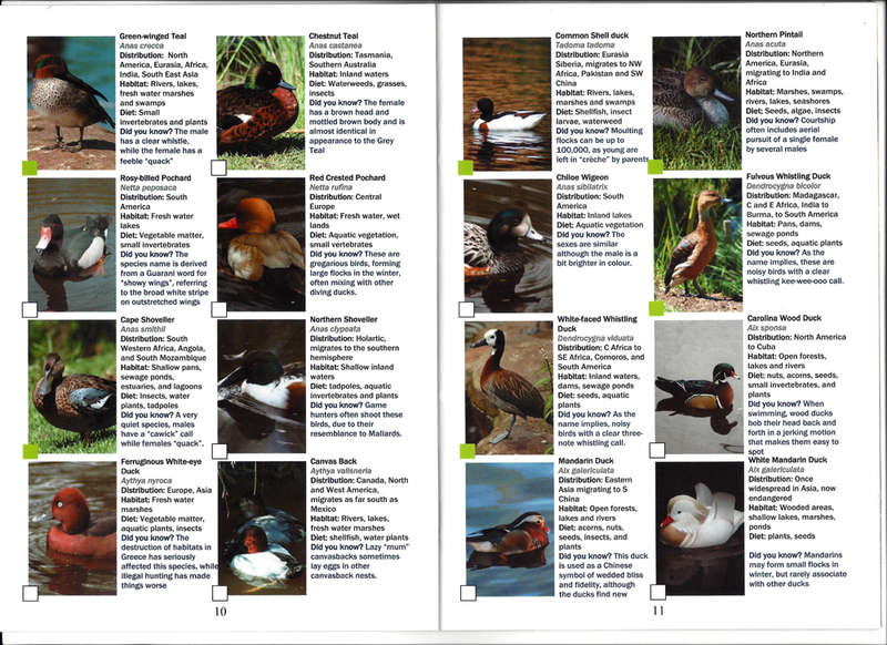 BIRDS of EDEN - BIRD IDENTIFICATION GUIDE. FREE FLIGHT BIRD SANCTUARY PLETTENBERG BAY, SOUTH AFRICA.