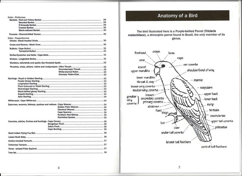 BIRDS of EDEN - BIRD IDENTIFICATION GUIDE. FREE FLIGHT BIRD SANCTUARY PLETTENBERG BAY, SOUTH AFRICA.