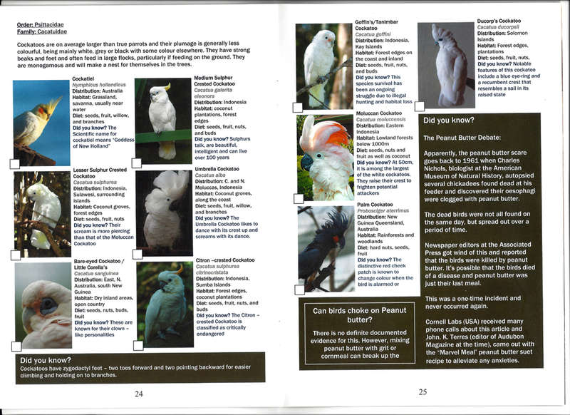 BIRDS of EDEN - BIRD IDENTIFICATION GUIDE. FREE FLIGHT BIRD SANCTUARY PLETTENBERG BAY, SOUTH AFRICA.