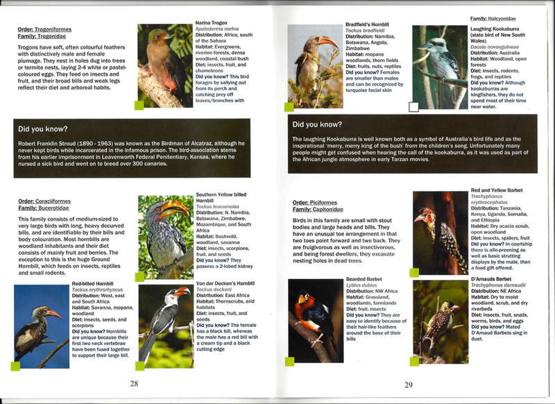 BIRDS of EDEN - BIRD IDENTIFICATION GUIDE. FREE FLIGHT BIRD SANCTUARY PLETTENBERG BAY, SOUTH AFRICA.