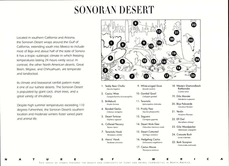 USA 1999 Sonoran Desert: (Nature of America) Full Pane of Ten Self-adhesive x 33 Cent Postage Stamps