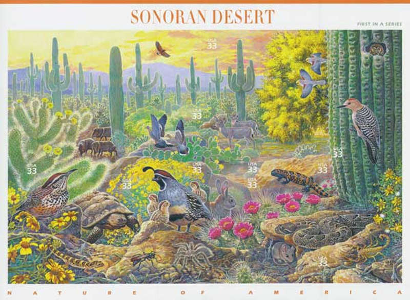 USA 1999 Sonoran Desert: (Nature of America) Full Pane of Ten Self-adhesive x 33 Cent Postage Stamps