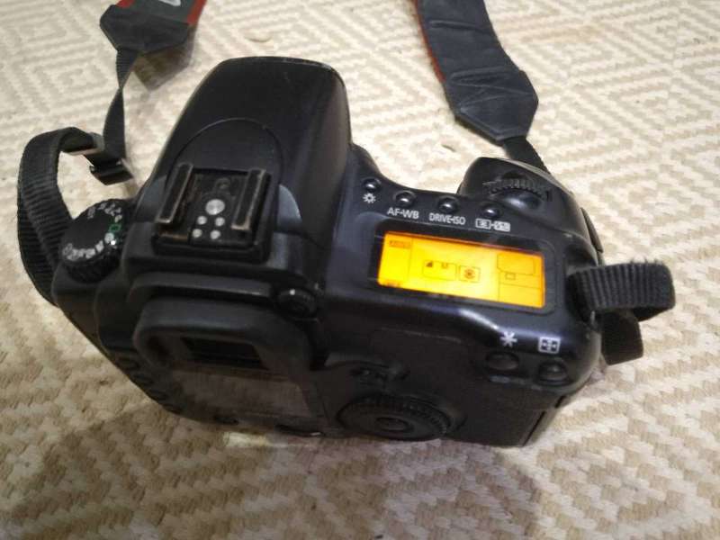 Canon 20D