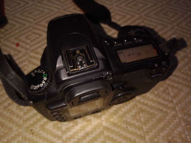 Canon 20D