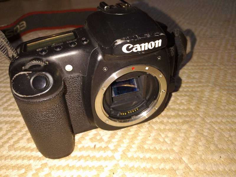 Canon 20D