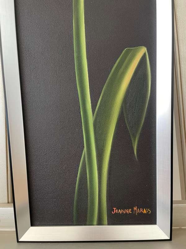 Original Jeanne Marais, SA, Red Tulip, Oil on Canvas (3 of 3)