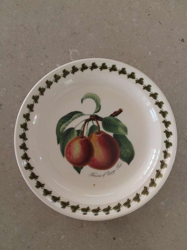 Vintage older backstamp salad/dessert plate - Portmeirion - Princess of orange pearl.