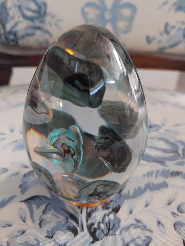 Genuine Paua Shell Paperweight made by Ariki New Zealand.