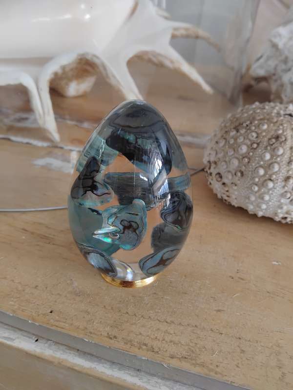 Genuine Paua Shell Paperweight made by Ariki New Zealand.