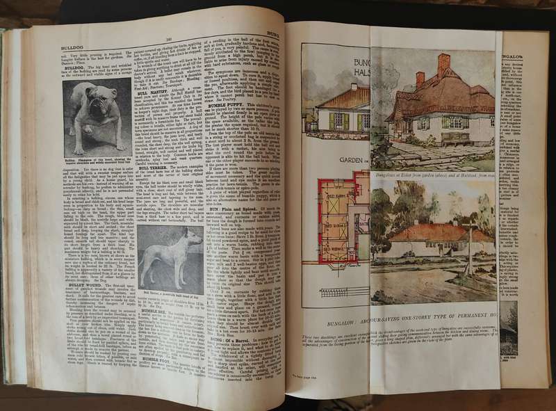 THE CONCISE HOUSEHOLD ENCYCLOPEDIA, 2 volumes.  - PLEASE READ DESCRIPTION.