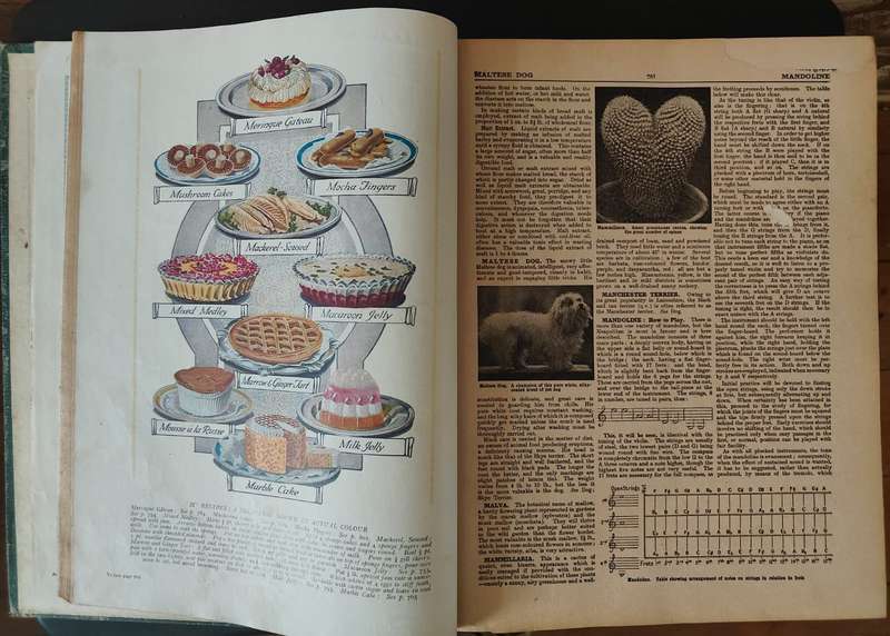 THE CONCISE HOUSEHOLD ENCYCLOPEDIA, 2 volumes.  - PLEASE READ DESCRIPTION.
