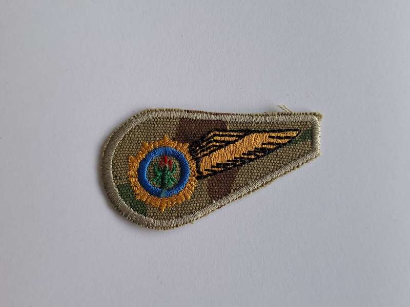 South African Police Air Wing Observer Wing Camo