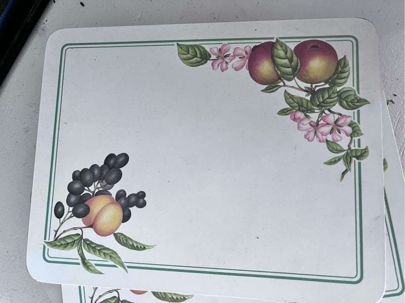 11 Vintage cork back placemats with fruit pattern
