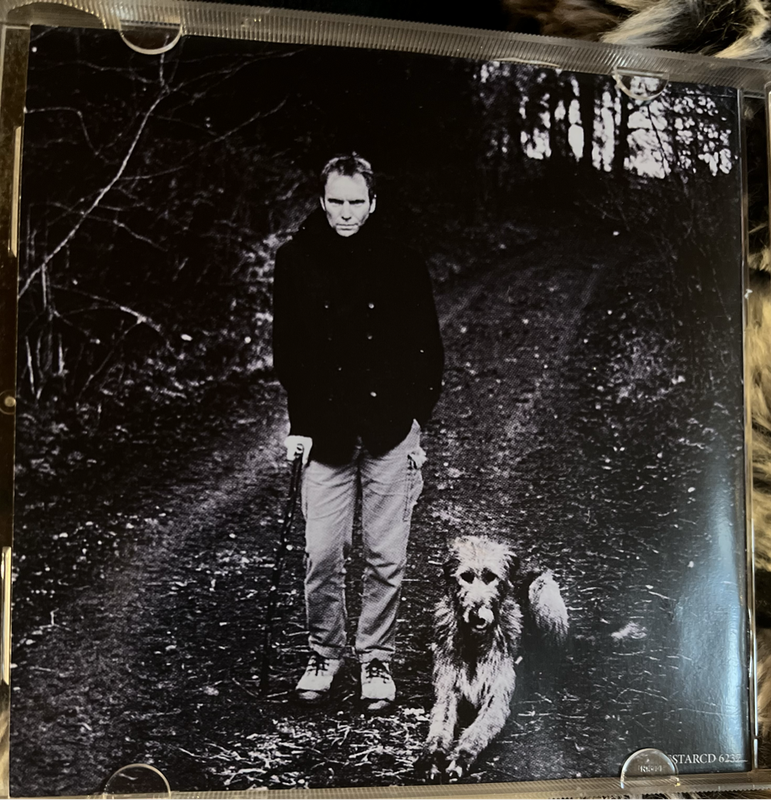 Sting - Mercury falling SSTARCD6237