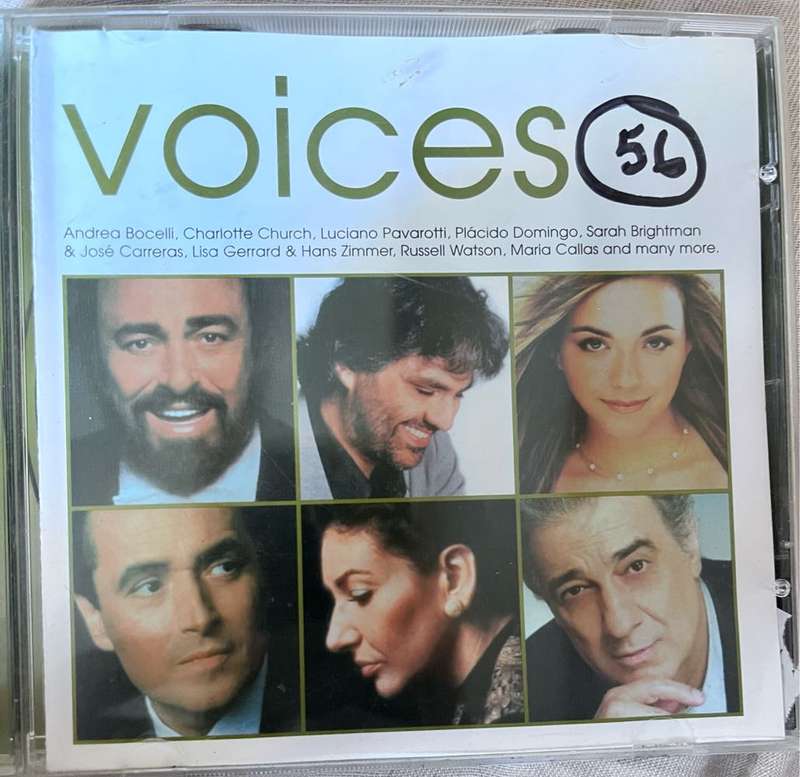 Voices (2002)