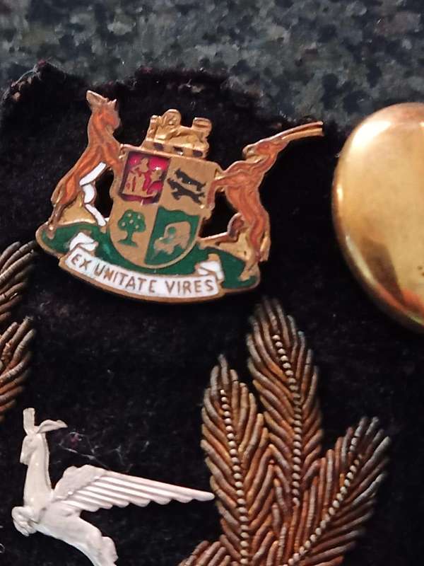 Lot of South African badges and buttons