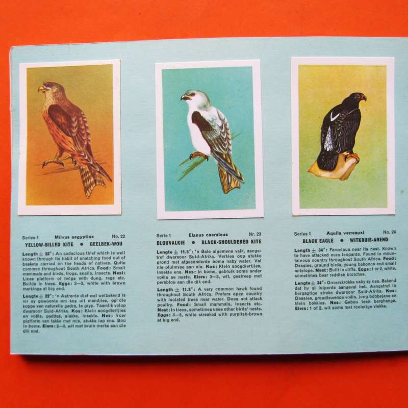 1965 Birds of South Africa Sticker Card Album