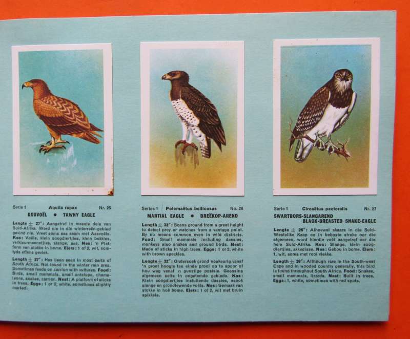 1965 Birds of South Africa Sticker Card Album