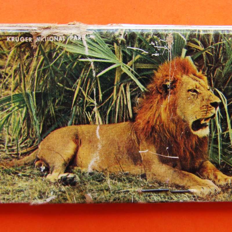 SA and Kruger Park - World's Largest Matchbook