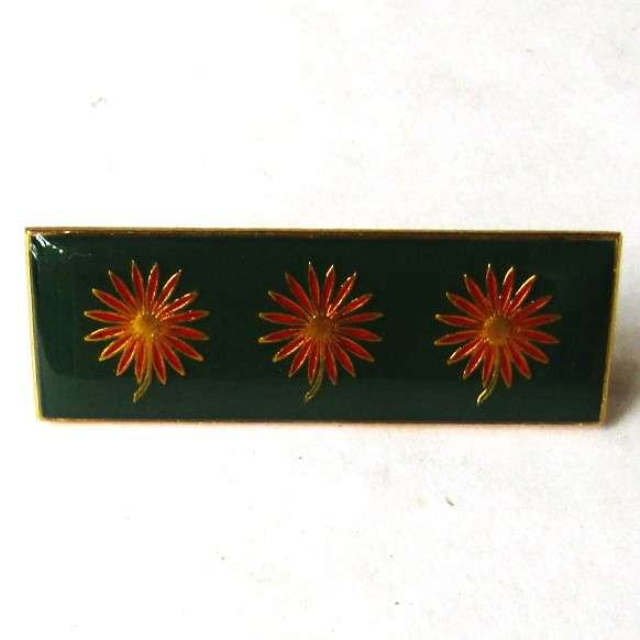 SADF Northern Transvaal Command Formation Bar