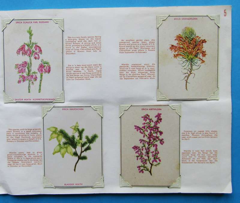 Old Ericas of South Africa Sticker Card Album