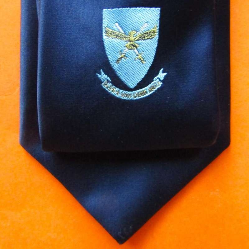 Old SAAF Headquarters Neck Tie
