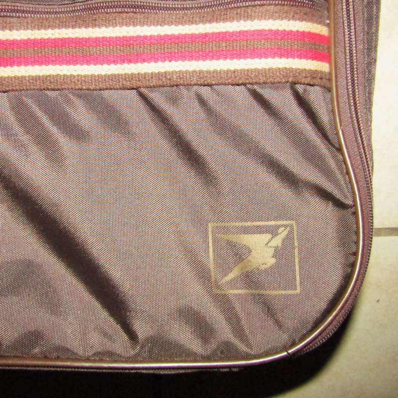 Old SAA Airways Flying Springbok Cabin Case