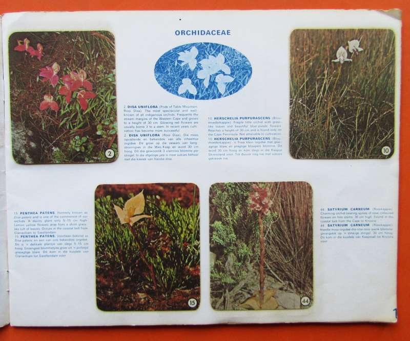 Old South African Wild Flowers Sticker Card Album
