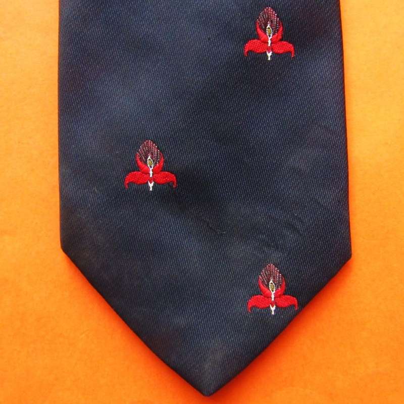 Old WP Western Province Rugby Neck Tie