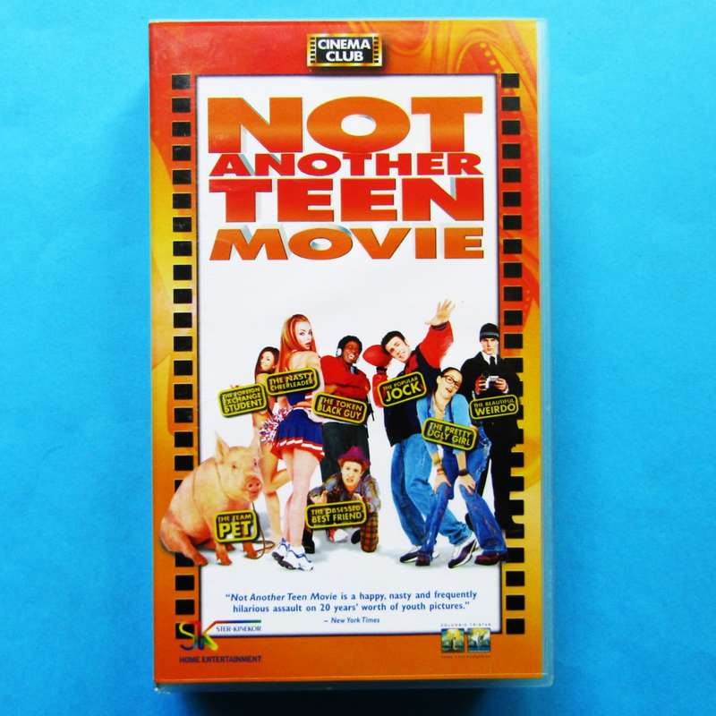 Not Another Teen Movie - VHS Video Tape (2002)