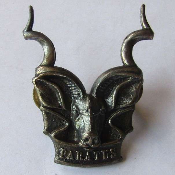 SWA Area Force Cap Badge - Lugs Intact