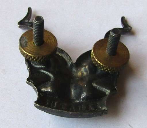 SWA Area Force Cap Badge - Lugs Intact