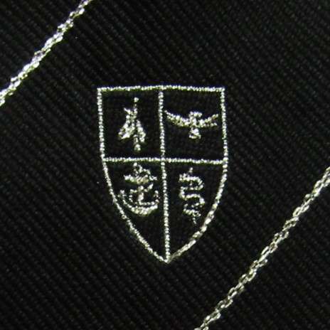 Old SADF Insignia Neck Tie