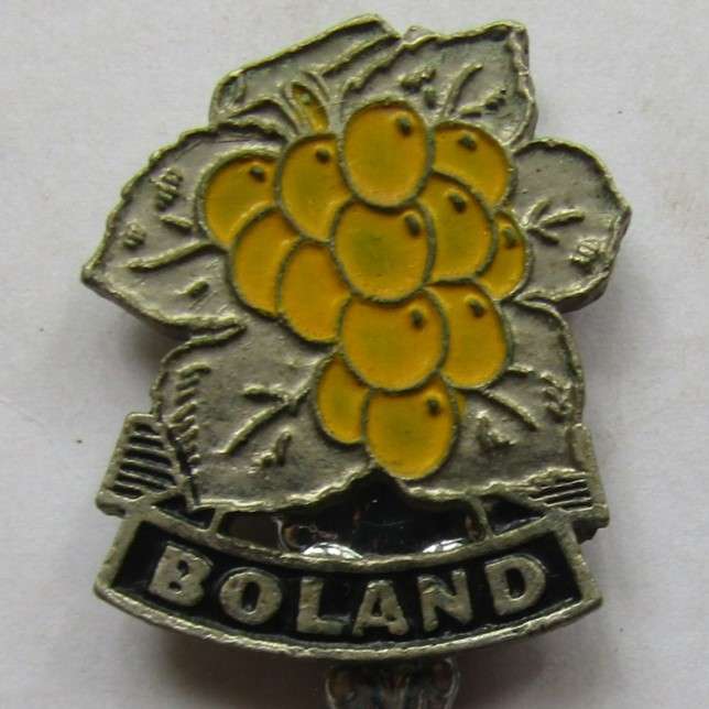 Old Boland Rugby Crested Spoon