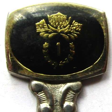 SADF 1 Special Service Battalion SSB Crested Spoon