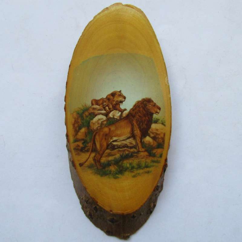 Old Kruger Park Wooden Wall Plaque