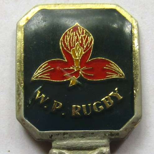 Old WP Western Province Rugby Crested Spoon