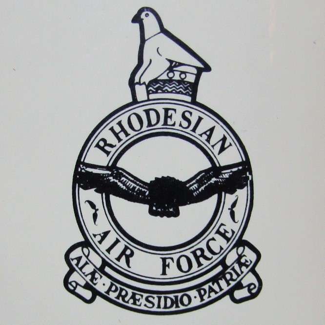 Old Rhodesian Air Force Beer Mug