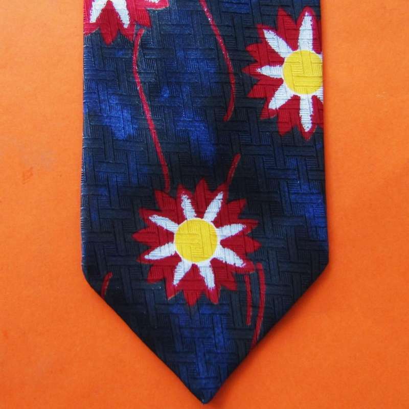 Pierre Cardin Paris Designer Neck Tie