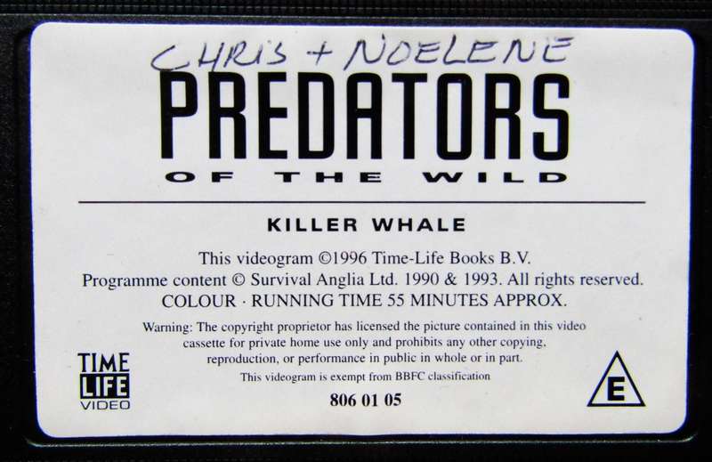 Killer Whale - Predators of the Wild - VHS Video Tape (1996)