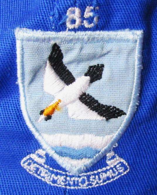 SAAF 85 Combat Flying School Cap