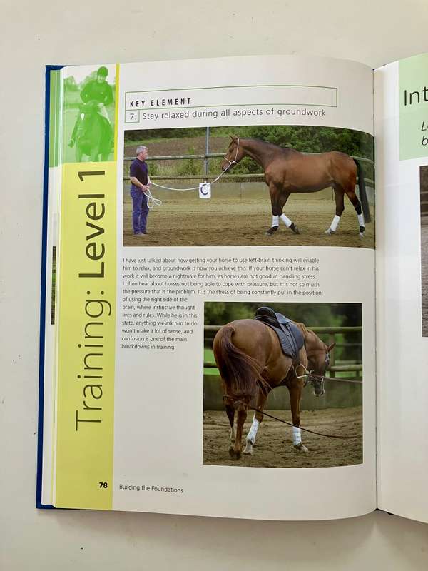 Maximise Your Horsemanship - Richard Maxwell. Hardcover no dj, 1st Ed. 2006