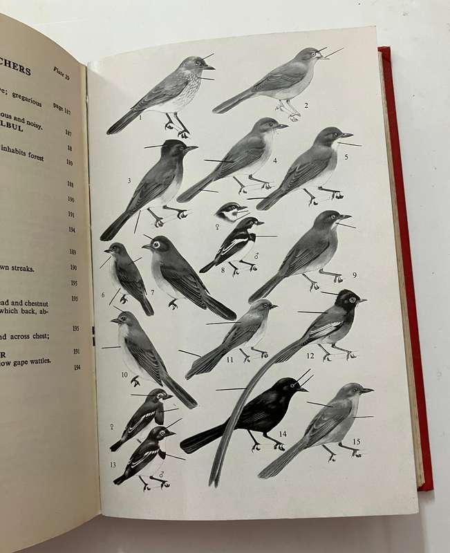 The Birds of East and Central Africa - JG Williams. Hardcover no dj, 1st Ed. 1963.