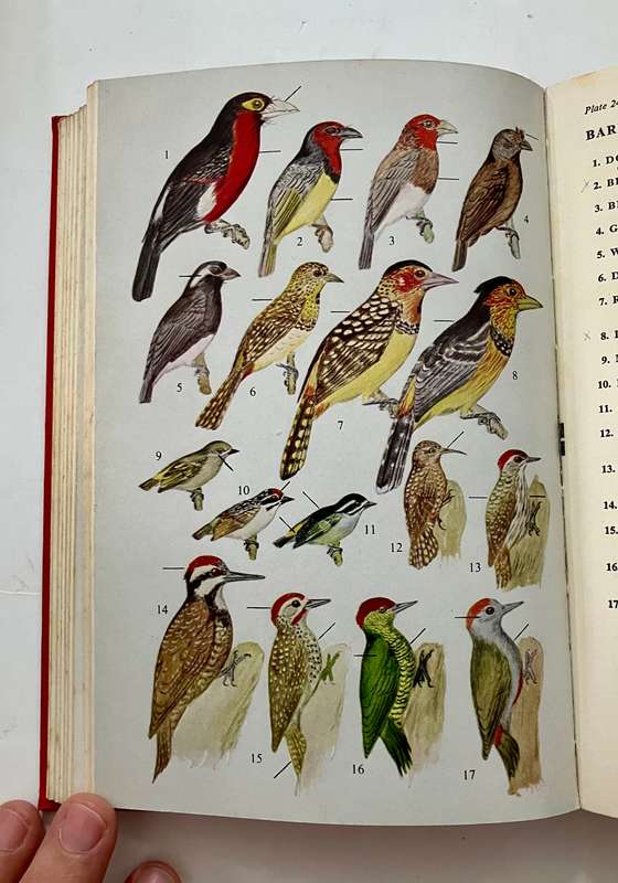 The Birds of East and Central Africa - JG Williams. Hardcover no dj, 1st Ed. 1963.