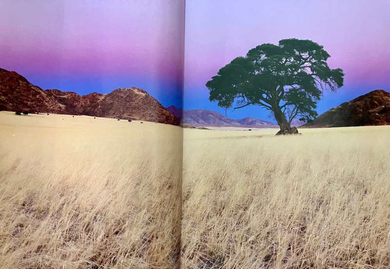 Namibia: A Visual Celebration - Jean du Plessis, Toast Coetzer. Hardcover w dj, 1st Ed. 2007