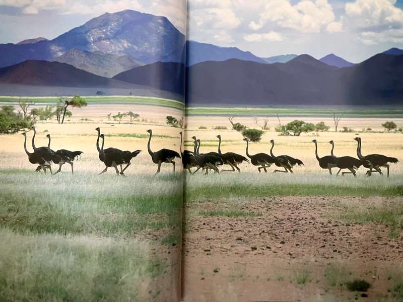 Namibia: A Visual Celebration - Jean du Plessis, Toast Coetzer. Hardcover w dj, 1st Ed. 2007