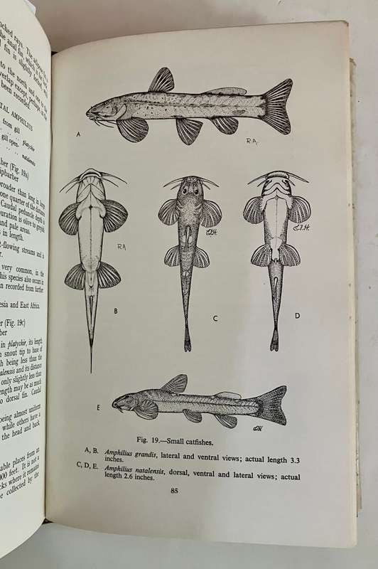 Freshwater Fishes of Natal - RS Crass. Hardcover w dj, 1st Ed. 1964