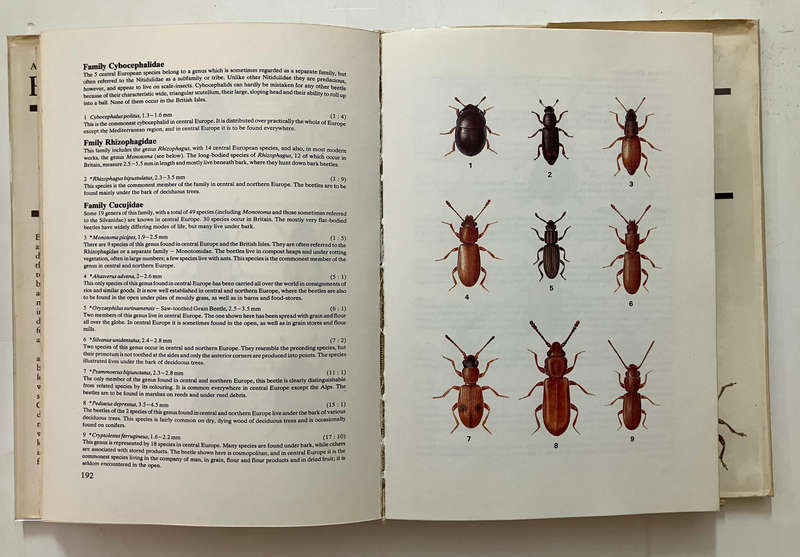 A Field Guide in Colour to Beetles - KW Harde. Hardcover w dj. 1st Eng Ed. 1984