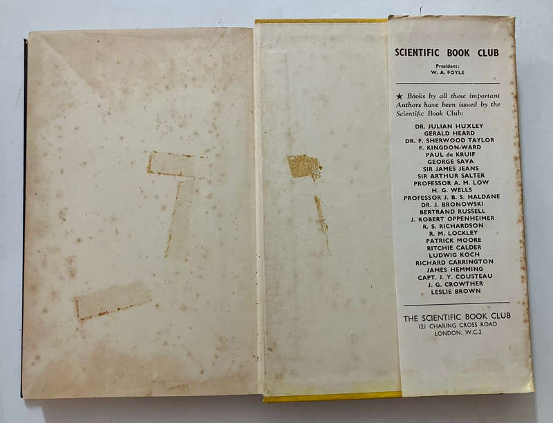 Caves and Cave Diving - Guy de Lavaur. Hardcover w dj. Not dated. Translated by Edmund J Mason