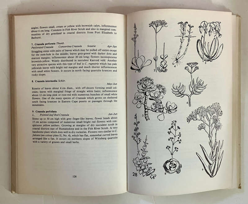 Eastern Cape Veld Flowers - Eily Gledhill. Hardcover w/o dj. 2nd Ed. 1981